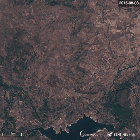 incendi GIF