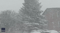 Heavy Snow Blankets Cars in Western New York