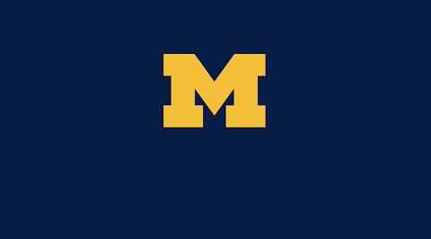 GIF by Michigan Athletics