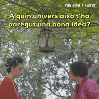 Idea Mai Neva A Ciutat GIF by IB3