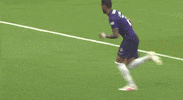 fcmidtjylland brazil superliga fcm fc midtjylland GIF