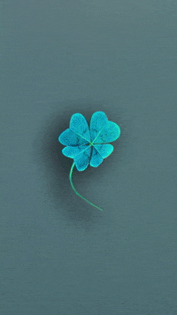 GIF by Distant Matter