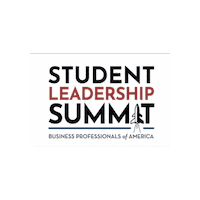 Sls Bpa Sticker by Oklahoma DECA