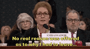 news impeachment impeachment inquiry impeachment hearings day two marie yovanovitch GIF
