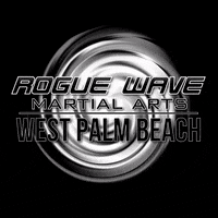 RougeWavePalmBeach roguewave GIF