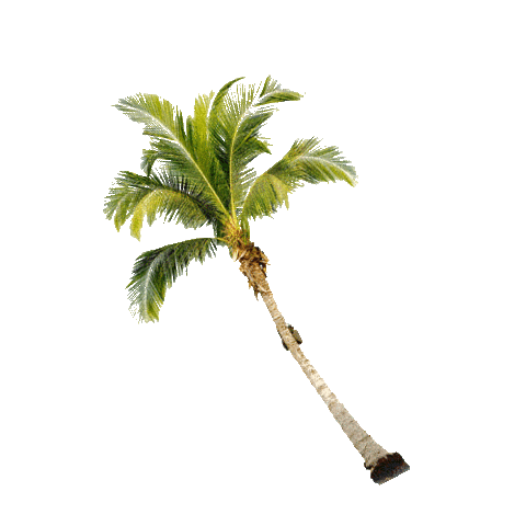 summer la Sticker by prettylittlething