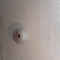 GIF by hazelst