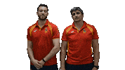 Fer Leones Sticker by FERugby