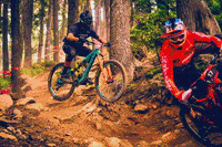 Slicyproducts  GIF
