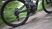 GIF by Tirol