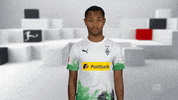 Come On Hello GIF by Bundesliga