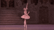 GIF by Royal Opera House