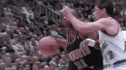 nick van exel GIF