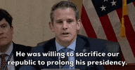 January 6 GIF by GIPHY News