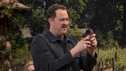 Snl GIF by Saturday Night Live