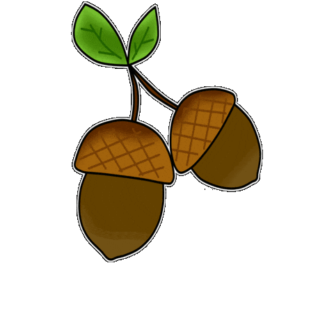 Fall Acorn Sticker