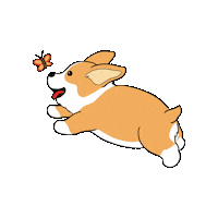 Butterfly Corgi Sticker by Petique, Inc.