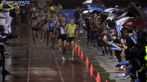 new york running GIF by RunnerSpace.com