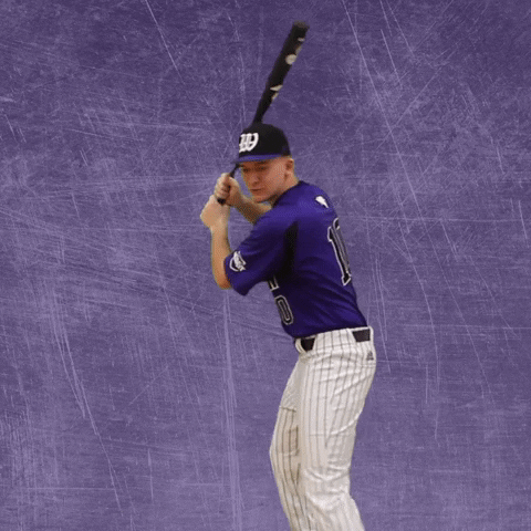 Baseball Wesleyan GIF by KWC Panthers
