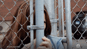 Chicago Pd Nbc GIF by One Chicago