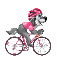 Cycling Ciclismo Sticker by girodiitalia