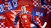 Hockeytown GIF by HC Dynamo Pardubice