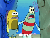 season 8 GIF by SpongeBob SquarePants