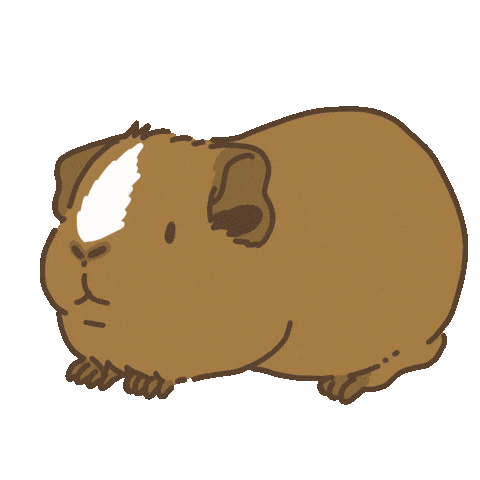 Licht Guineapig Sticker