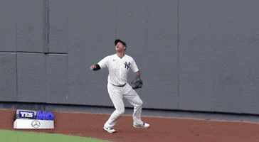 New York Yankees Baseball GIF by Jomboy Media