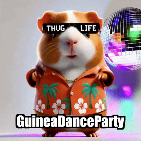 Guinea Pig Dance GIF by Guinea Gambino