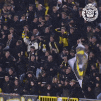 Celebration Sporting GIF by KSC Lokeren-Temse