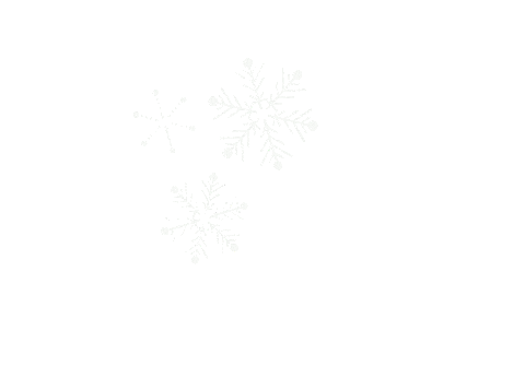 Effects Snowflake Sticker by DZ BANK AG
