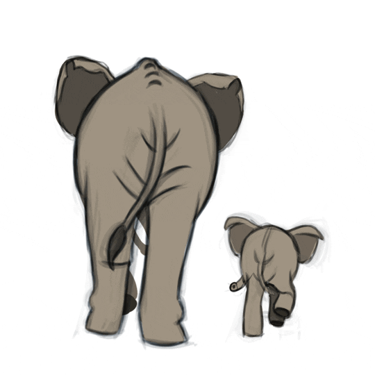 MichaelVerhuelsdonk animal djungle elefants drawing animation GIF