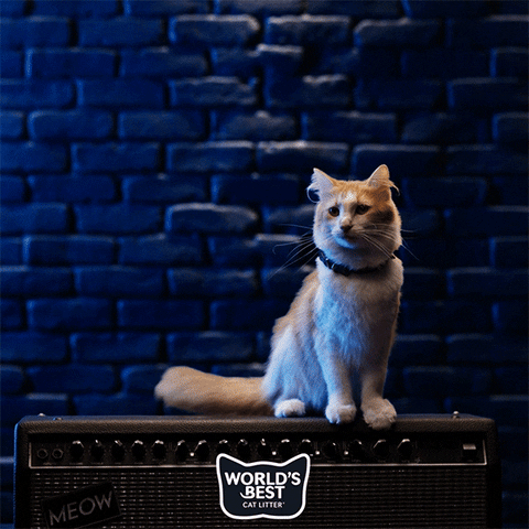 Rock And Roll Thank You GIF by Worlds Best Cat Litter