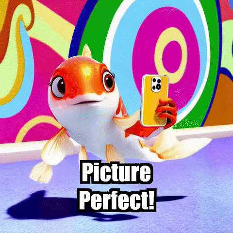 Picture Perfect Photography GIF by TheConfishius