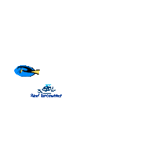 Reef_Experience ocean dive diving gbr Sticker