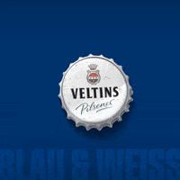 Danny Latza Football GIF by FC Schalke 04