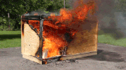 GIF by Wirecutter