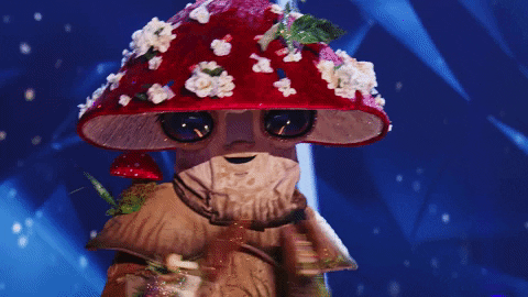Mushroom Masked Singer GIF by FOX TV
