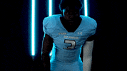 Old Dominion Sport GIF by ODU Football