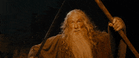 GIF by Giphy QA