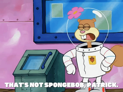 season 5 GIF by SpongeBob SquarePants
