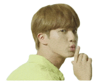 Jin Bts Army Sticker