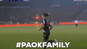 paokfamily lucescu GIF by PAOK FC