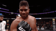 ufc 209 GIF