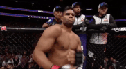 ufc 209 GIF