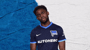 Bundesliga Berlin GIF by Hertha BSC