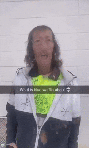 bradydrivesfast giphycreatortest aura vlogger ctv GIF