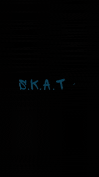 skateparkfest  GIF