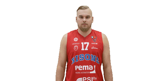 Sport Basketball Sticker by Basket_fi